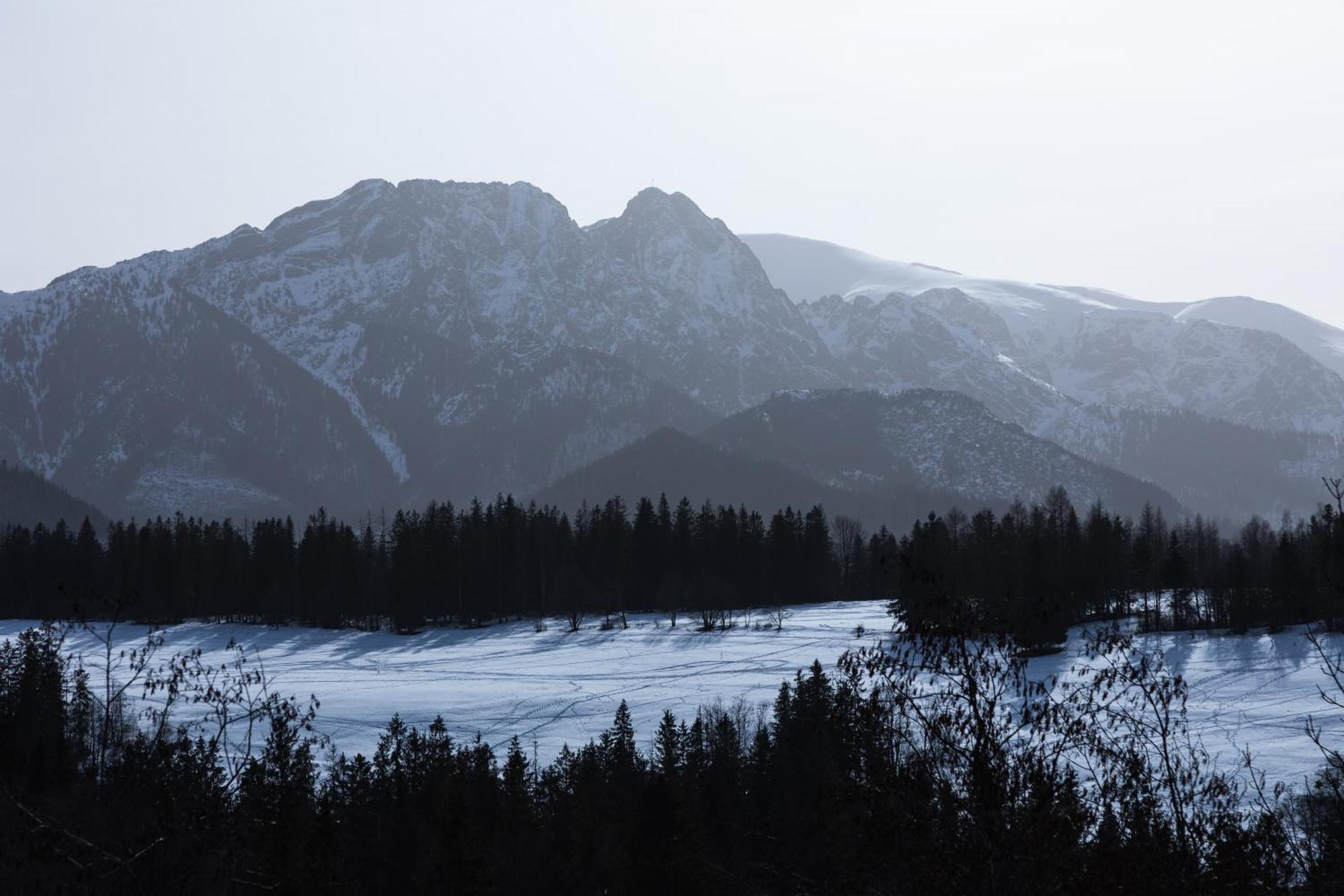 Apartamenty Bachledzki Wierch Zakopane Szoba fotó
